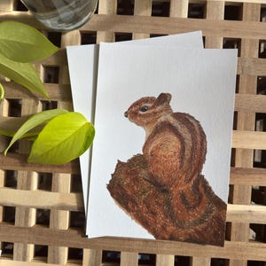 Stampa artistica sulla fauna selvatica Chipmunk A5 - Illustrazione disegnata a mano stampata su carta Perlino Cotton 250gsm - Creature del bosco