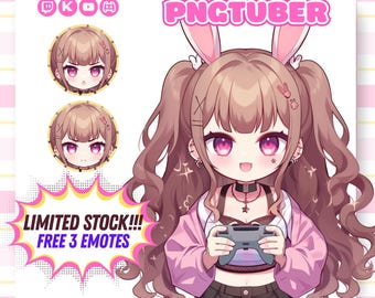 Custom Chibi Pnguber, Pngtuber Custom, Pngtuber Model, Pngtuber Male, PNGtuber for Streamer, Pngtuber Commission, Live2d VTuber Model