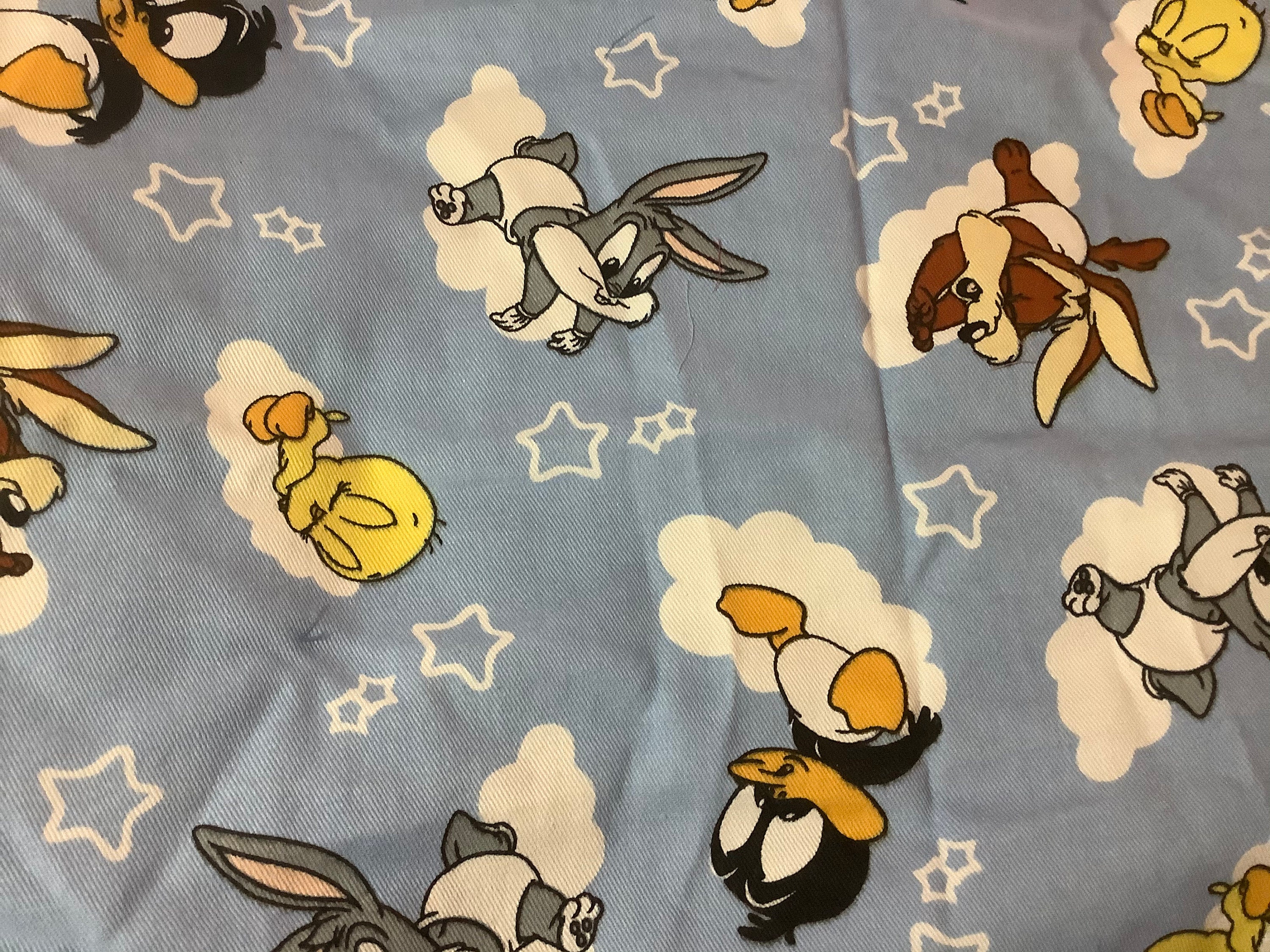 Bluey Character Fabric - Shop on Pinterest