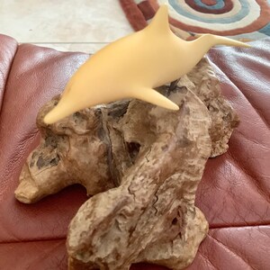 Dolphin Mounted on Chicholla Wood | 4” tall 5” wide | tropical decor
