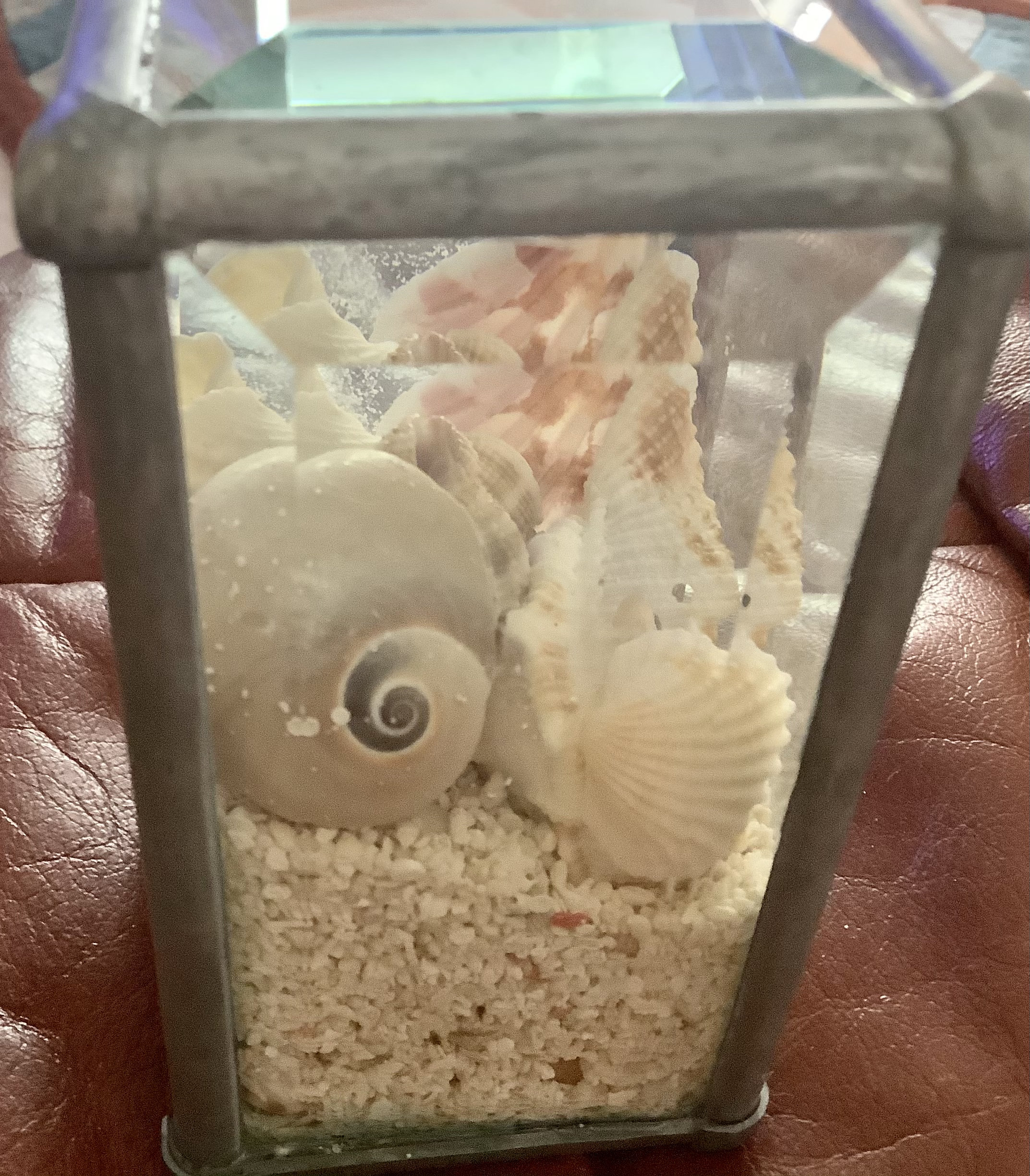 Vintage Sea Shell Cut Glass Container 4 by 2 Tropical Etsy.de