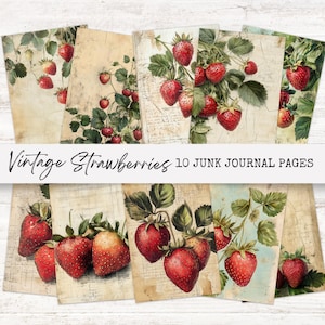 Pagine di diario "Fragola Junk", materiale effimero vintage stampabile, download digitale per idee di scrapbooking e bricolage