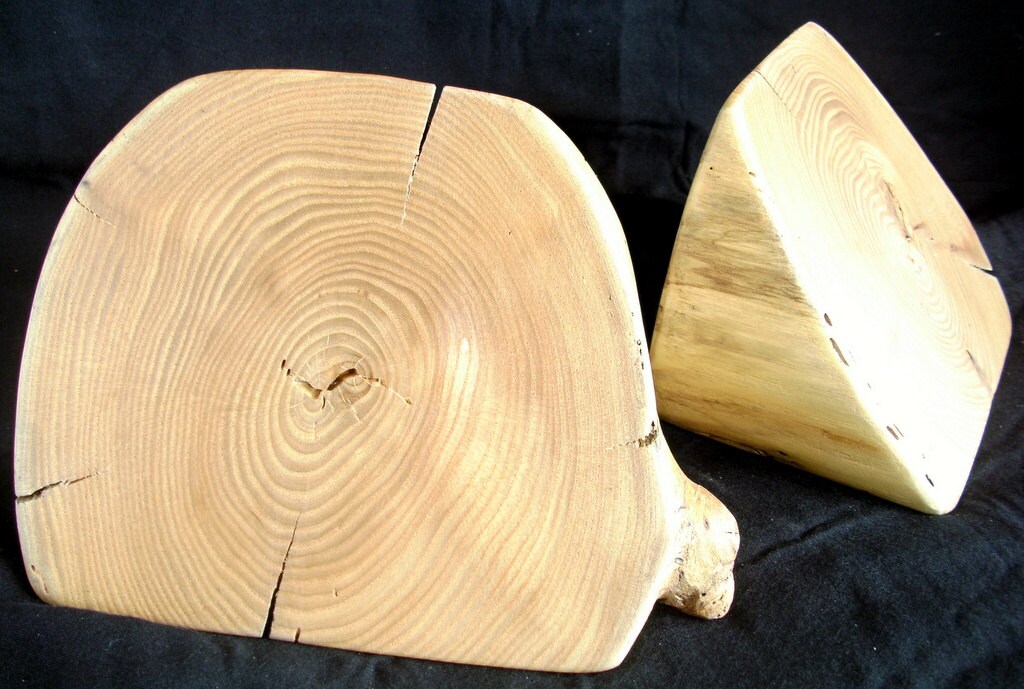 Log Bookends Handmade of Red Elm Etsy