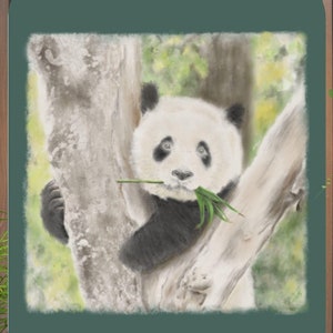 Panda Bear Throw, Panda Blanket, Panda Lover Blanket, Panda Throw Blanket, Panda Gift, Sherpa Throw, Animal Lover Blanket,Home Decor,Blanket