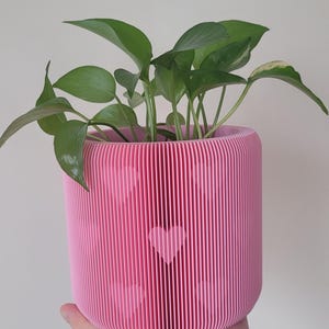 3D baby pink heart planter