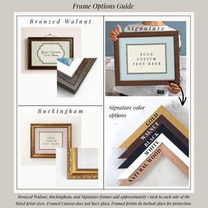 The image is a guide to frame options for a framed canvas, including the different types of frames available and their customization options.