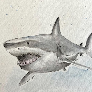 Hai Aquarell, Unikat, Kinderzimmer Kunst, handgemalt, maritime Bilder, watercolour, Hai Illustration, Meerestiere, shark