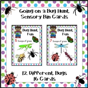 Going on a Bug Hunt Sensory Bin Cards | Sensory Bin Activity | Insect Center | Montessori | Spring Preschool | Kindergarten | Game |Download