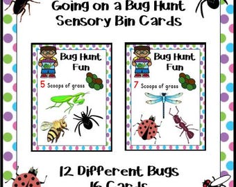 Going on a Bug Hunt Sensory Bin Cards | Sensory Bin Activity | Insect Center | Montessori | Spring Preschool | Kindergarten | Game |Download