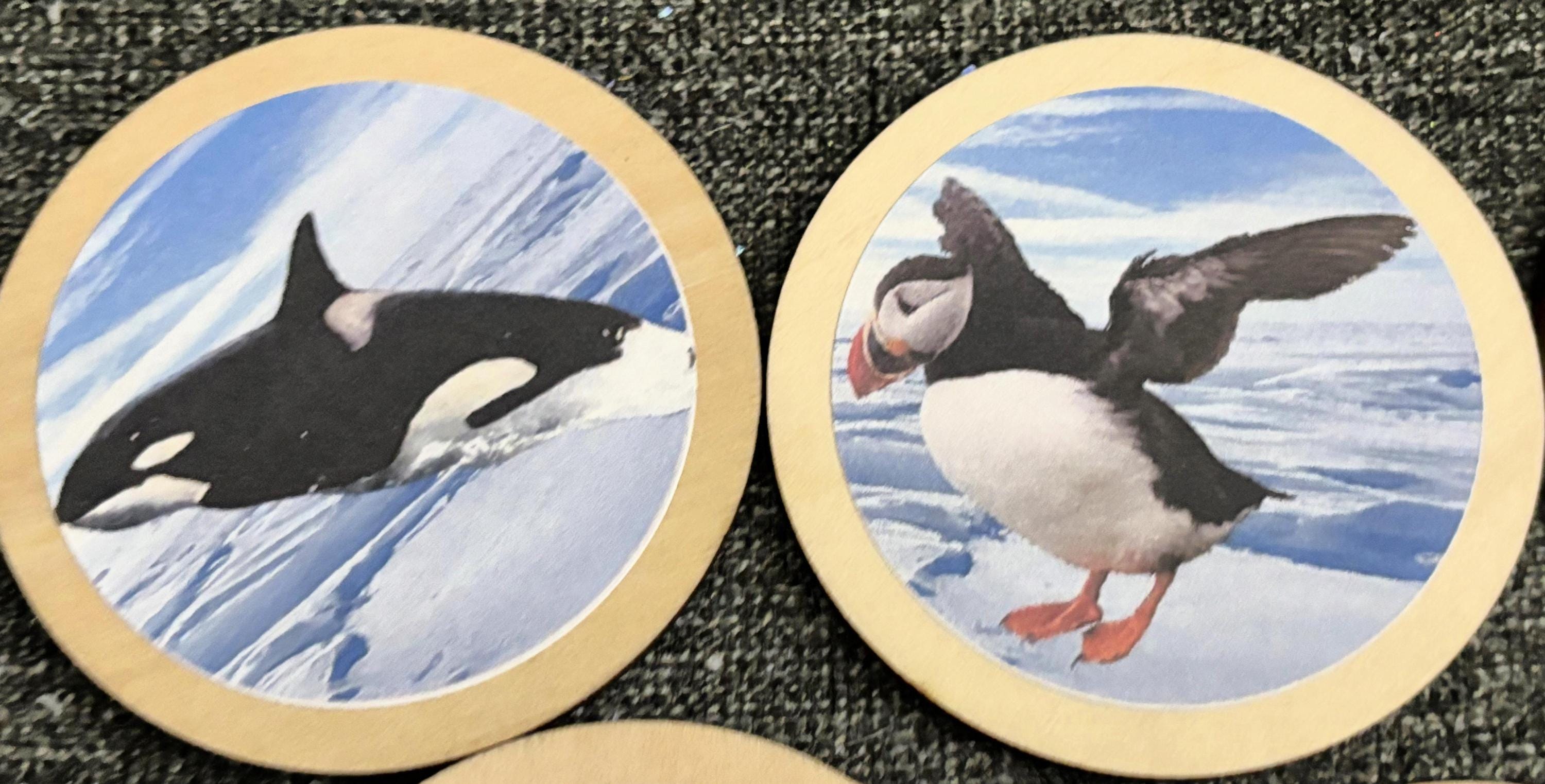 Winter Arctic Polar Animals Memory Match Game | Wooden Montessori ...
