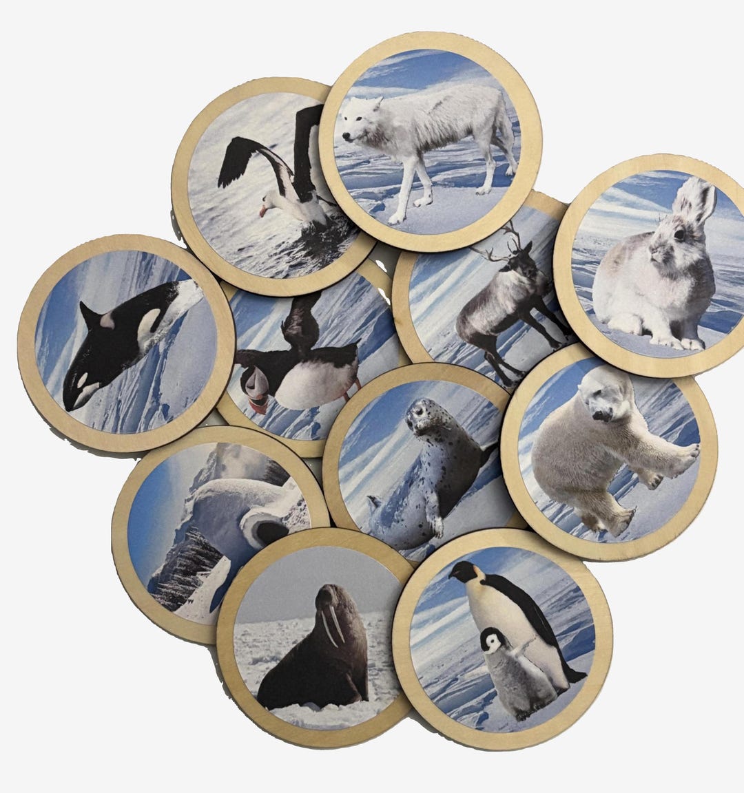 Winter Arctic Polar Animals Memory Match Game | Wooden Montessori ...