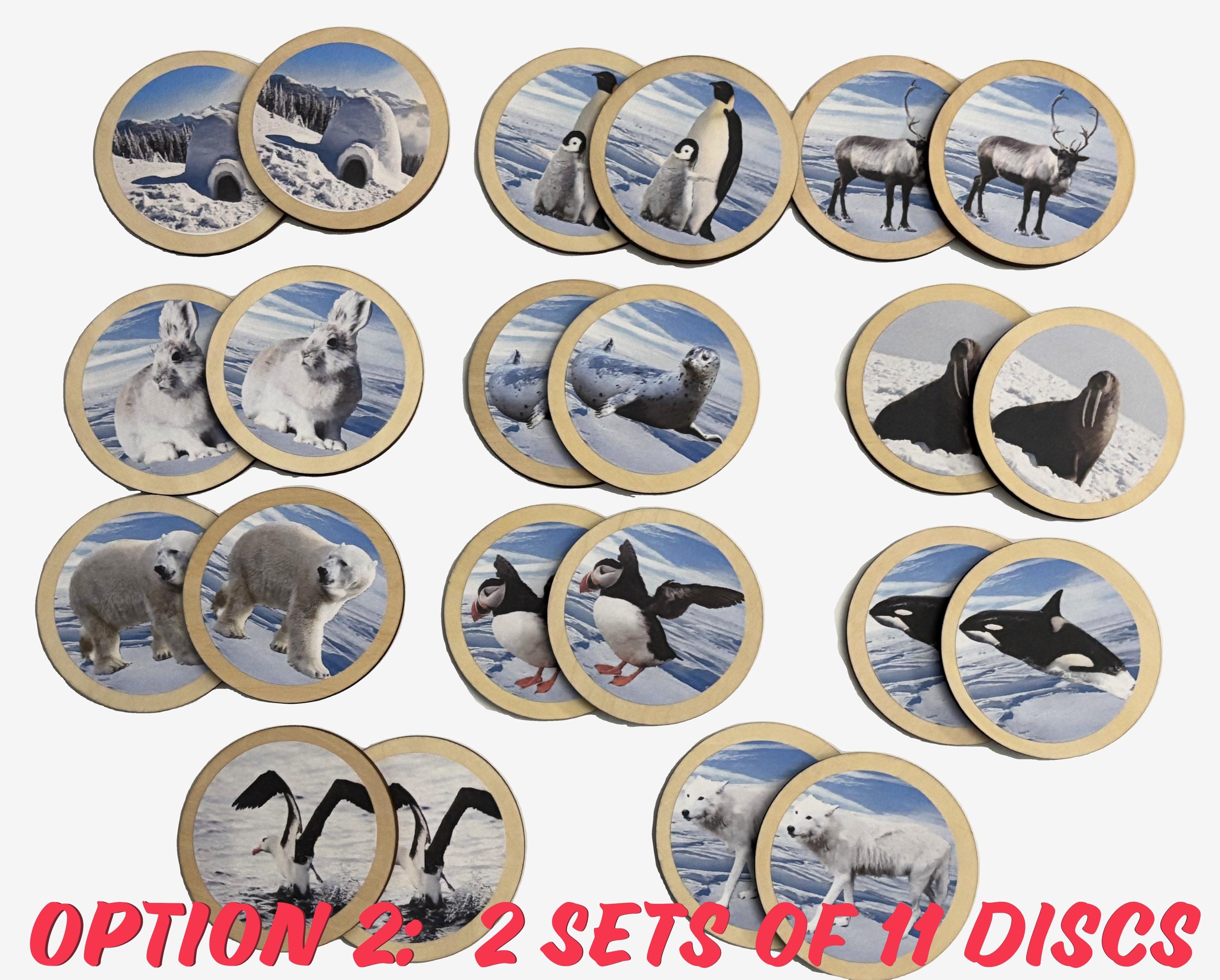 Winter Arctic Polar Animals Memory Match Game | Wooden Montessori ...