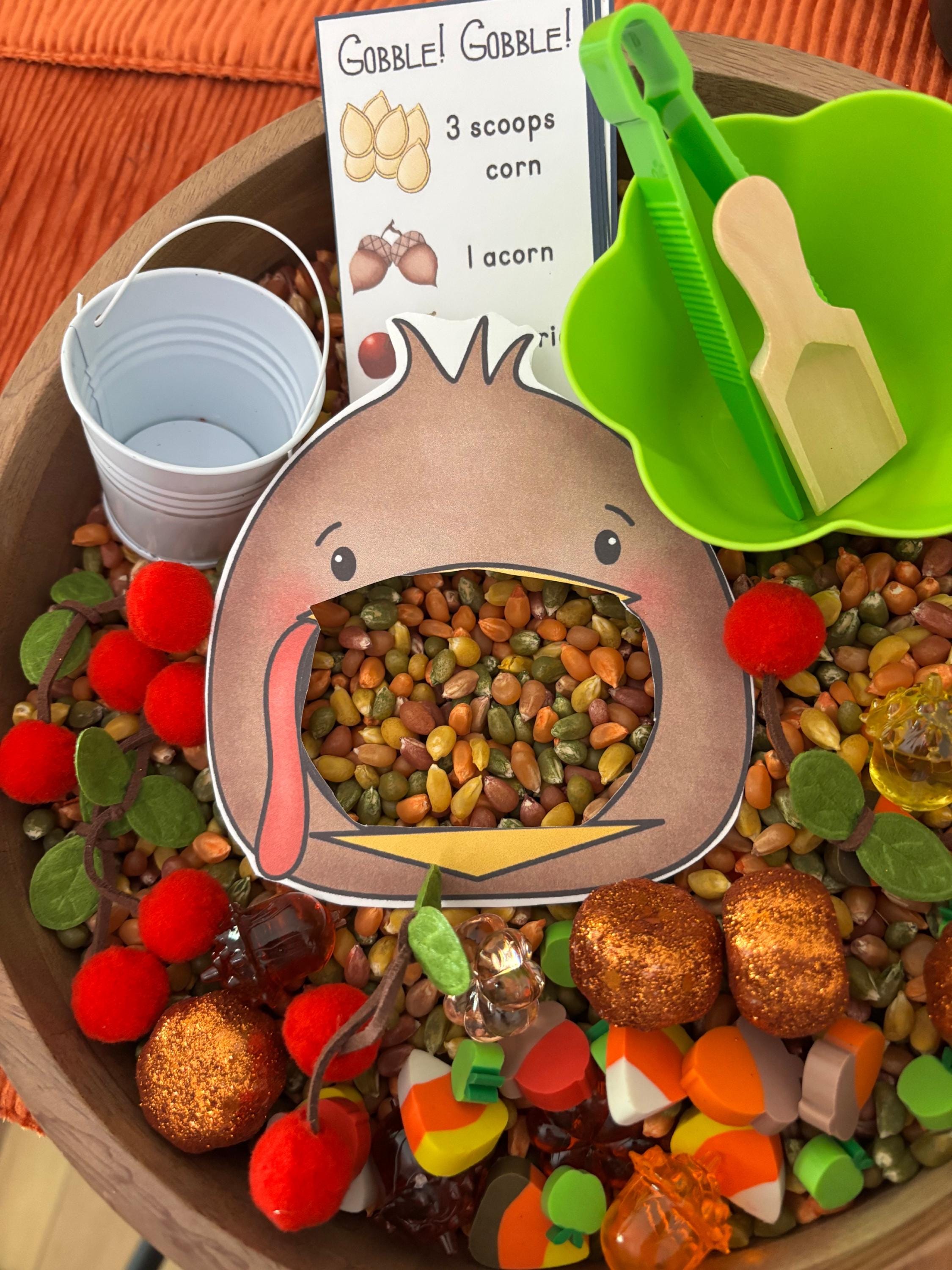 Fall Sensory Bin Kit | Feed the Turkey | Montessori Fall Activity ...