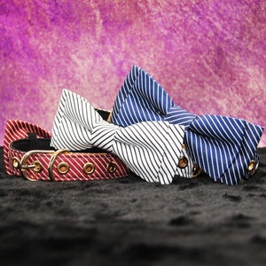 Hochzeit Hundehalsband mit Fliege: Personalisiertes Katzenhalsband aus Leder