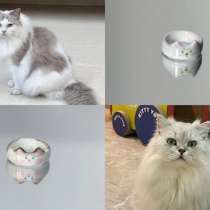 K&ouml;nnte beinhalten: Zwei wei&szlig;e Katzen mit blauen Augen. Eine Katze sitzt auf einem gefliesten Boden. Die andere Katze sitzt auf einem gefliesten Boden vor einem blauen und gelben Spielzeug. Beide Katzen schauen in die Kamera. Es gibt zwei wei&szlig;e, keramikf&ouml;rmige Schalen in Katzenform mit rosa Ohren und blauen Augen. Die Schalen befinden sich auf einer wei&szlig;en Oberfl&auml;che.