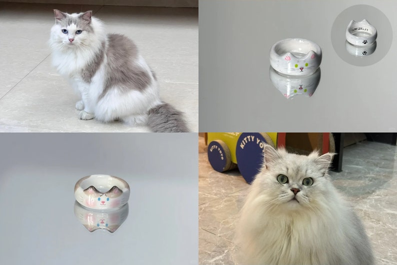 K&ouml;nnte beinhalten: Zwei wei&szlig;e Katzen mit blauen Augen. Eine Katze sitzt auf einem gefliesten Boden. Die andere Katze sitzt auf einem gefliesten Boden vor einem blauen und gelben Spielzeug. Beide Katzen schauen in die Kamera. Es gibt zwei wei&szlig;e, keramikf&ouml;rmige Schalen in Katzenform mit rosa Ohren und blauen Augen. Die Schalen befinden sich auf einer wei&szlig;en Oberfl&auml;che.