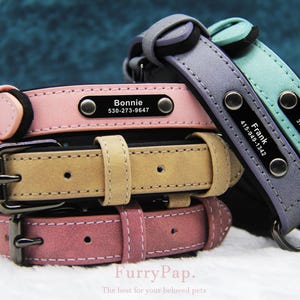 May include: Three leather dog collars in pink, light blue and grey with black metal buckles and personalised name tags. The name tags have the names "Bonnie", "Frank" and "Mojo" with phone numbers.