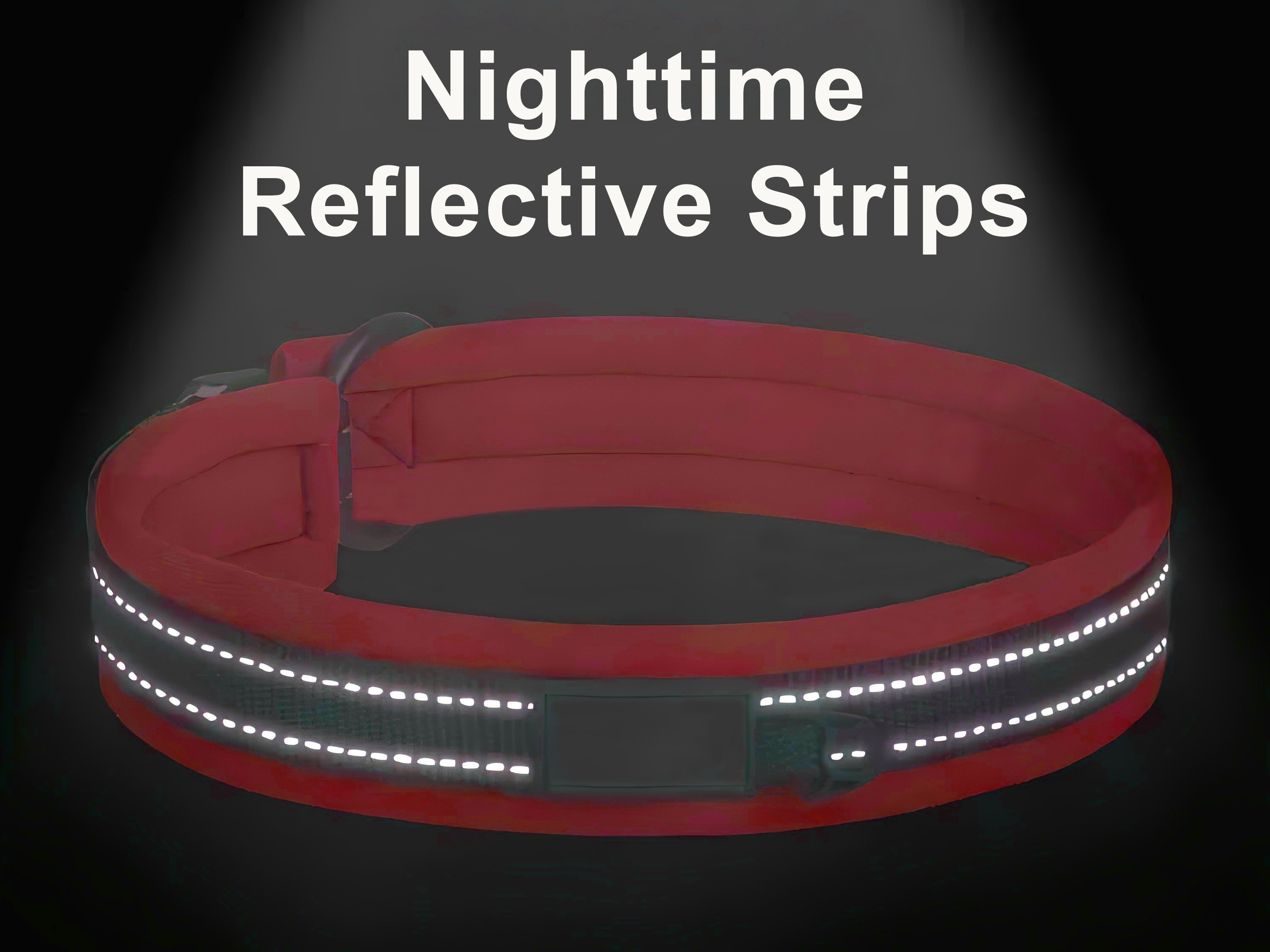 Reflective Padding Reflective Dog Collar: Personalized Engraved Buckle, Neoprene Padding ...