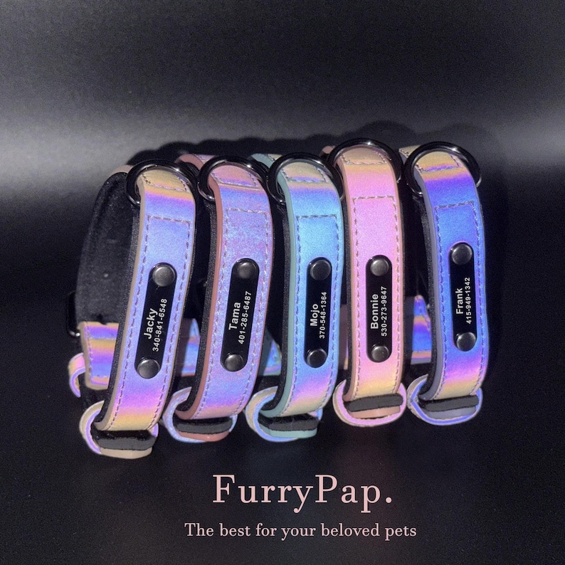 May include: Five iridescent dog collars with black name tags and phone numbers. The collars are arranged in a row, with the name tags facing the viewer. The collars are all different colours, but they all have a similar iridescent sheen. The text on the name tags reads: "Jacky 340-841-6548", "Tama 401-285-6487", "Mojo 370-548-1364", "Bonnie 530-273-9647", and "Frank 415-949-1342". The text below the collars reads: "FurryPap. The best for your beloved pets."