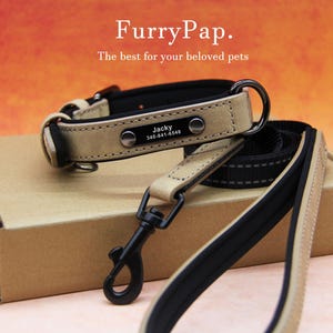 Custom Dog Collar, Reflective Personalized Collar, Custom Engraved Pet ID Tag, Keep Your Pets Safe, Rainbow-Like Colors, Stylish Dog Collar image 15