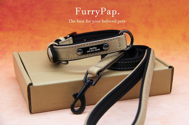 Custom Dog Collar, Reflective Personalized Collar, Custom Engraved Pet ID Tag, Keep Your Pets Safe, Rainbow-Like Colors, Stylish Dog Collar image 15
