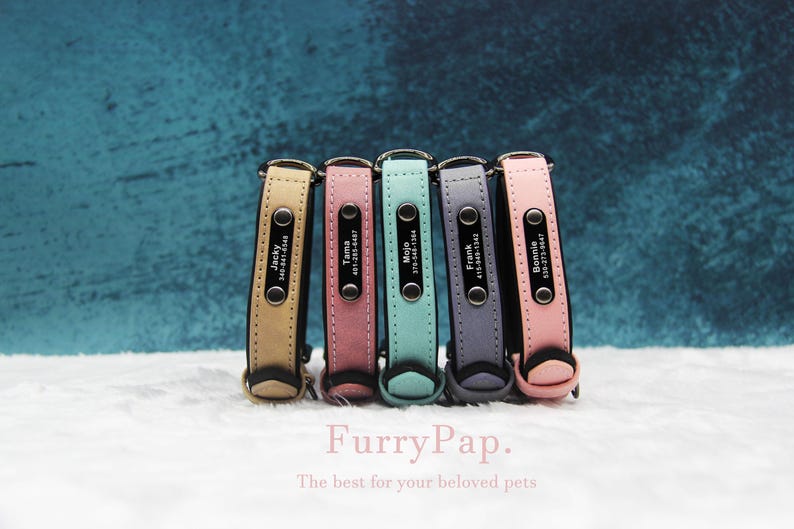 Custom Dog Collar, Reflective Personalized Collar, Custom Engraved Pet ID Tag, Keep Your Pets Safe, Rainbow-Like Colors, Stylish Dog Collar image 18