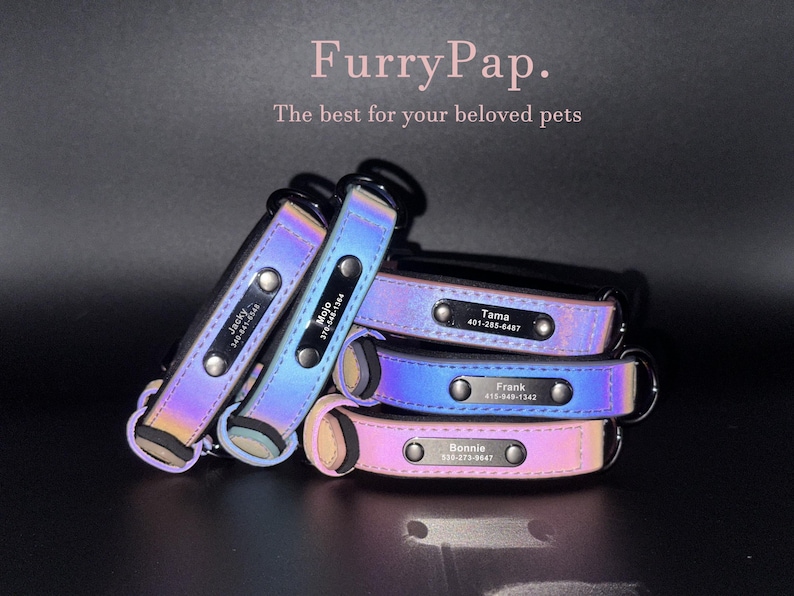 Custom Dog Collar, Reflective Personalized Collar, Custom Engraved Pet ID Tag, Keep Your Pets Safe, Rainbow-Like Colors, Stylish Dog Collar image 20