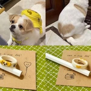 K&ouml;nnte beinhalten: Zwei Bilder eines kleinen wei&szlig;en Hundes mit braunen Flecken. Das erste Bild zeigt den Hund mit einem gelben Rucksack. Das zweite Bild zeigt den Hund auf einem Holzboden sitzend. Unten im Bild sind zwei handgefertigte Keramikringe mit einem Hundegesichtsdesign zu sehen. Die Ringe befinden sich auf einer braunen Pappe mit dem Text "have a nice day!" und einer Zeichnung eines Herzballons.