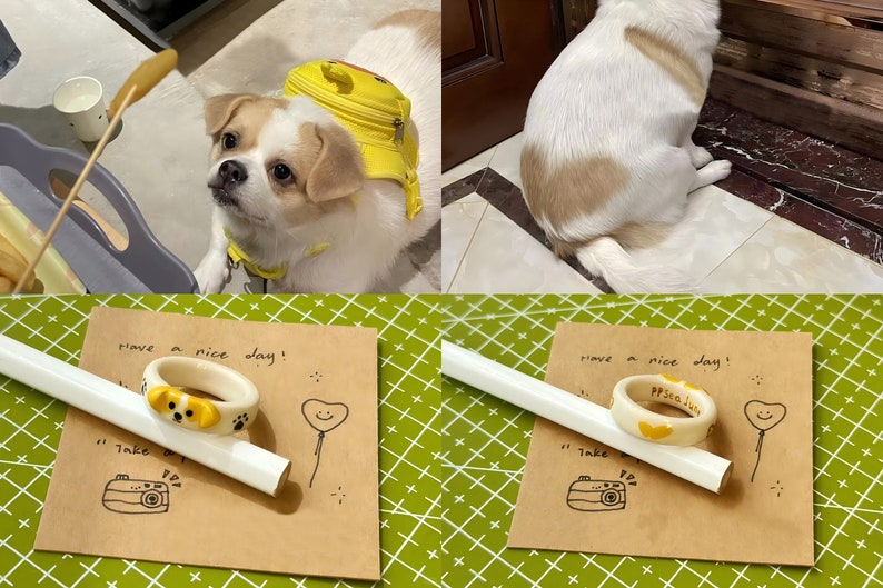 K&ouml;nnte beinhalten: Zwei Bilder eines kleinen wei&szlig;en Hundes mit braunen Flecken. Das erste Bild zeigt den Hund mit einem gelben Rucksack. Das zweite Bild zeigt den Hund auf einem Holzboden sitzend. Unten im Bild sind zwei handgefertigte Keramikringe mit einem Hundegesichtsdesign zu sehen. Die Ringe befinden sich auf einer braunen Pappe mit dem Text "have a nice day!" und einer Zeichnung eines Herzballons.