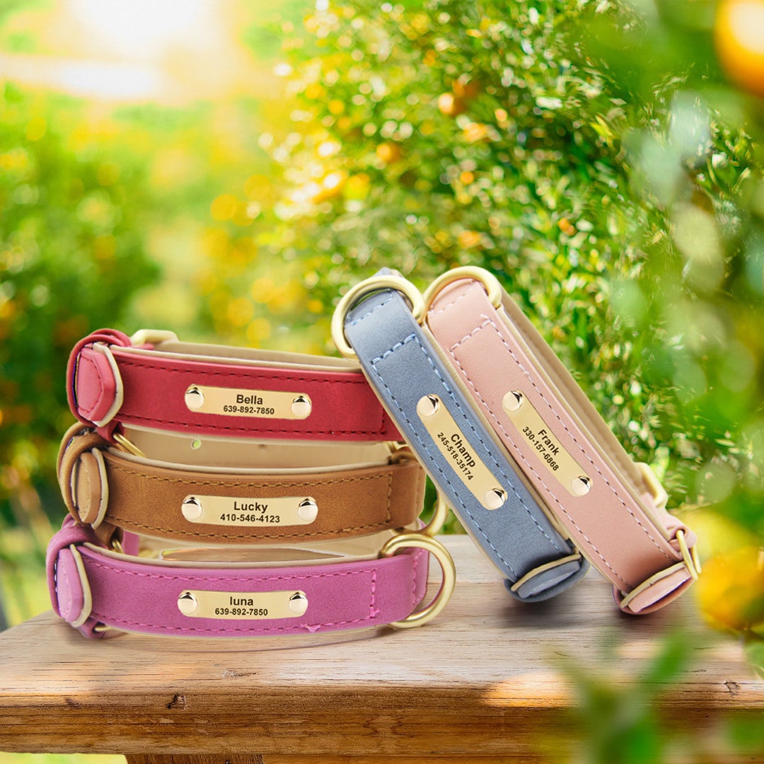 Personalized Leather Dog Collar: Custom Engraved Pet ID, Double Layer ...