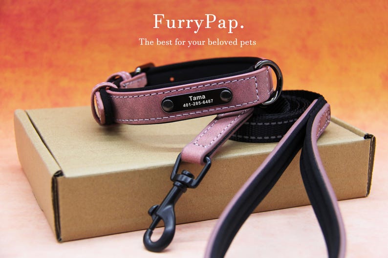 Custom Dog Collar, Reflective Personalized Collar, Custom Engraved Pet ID Tag, Keep Your Pets Safe, Rainbow-Like Colors, Stylish Dog Collar image 13