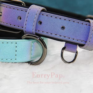 Custom Dog Collar, Reflective Personalized Collar, Custom Engraved Pet ID Tag, Keep Your Pets Safe, Rainbow-Like Colors, Stylish Dog Collar image 19