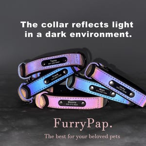 May include: Five iridescent dog collars with personalised name tags and phone numbers. The collars are stacked on top of each other. The text "FurryPap. The best for your beloved pets" is at the bottom of the image.