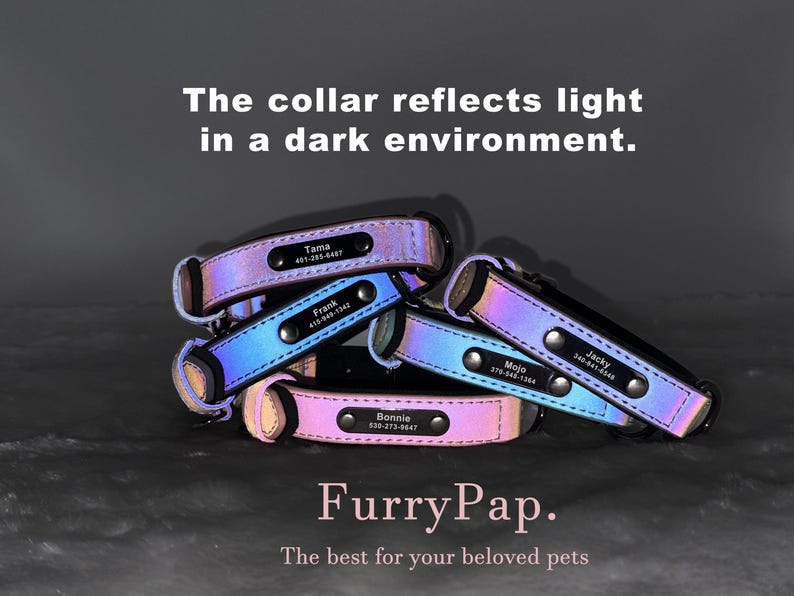 May include: Five iridescent dog collars with personalised name tags and phone numbers. The collars are stacked on top of each other. The text "FurryPap. The best for your beloved pets" is at the bottom of the image.