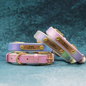 Reflective Leather Pet Collar | Personalized Engraved Dog & Cat Collar | Safety Collar for Nighttime Visibility