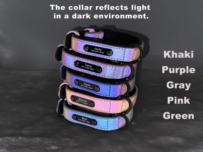Custom Dog Collar, Reflective Personalized Collar, Custom Engraved Pet ID Tag, Keep Your Pets Safe, Rainbow-Like Colors, Stylish Dog Collar image 3
