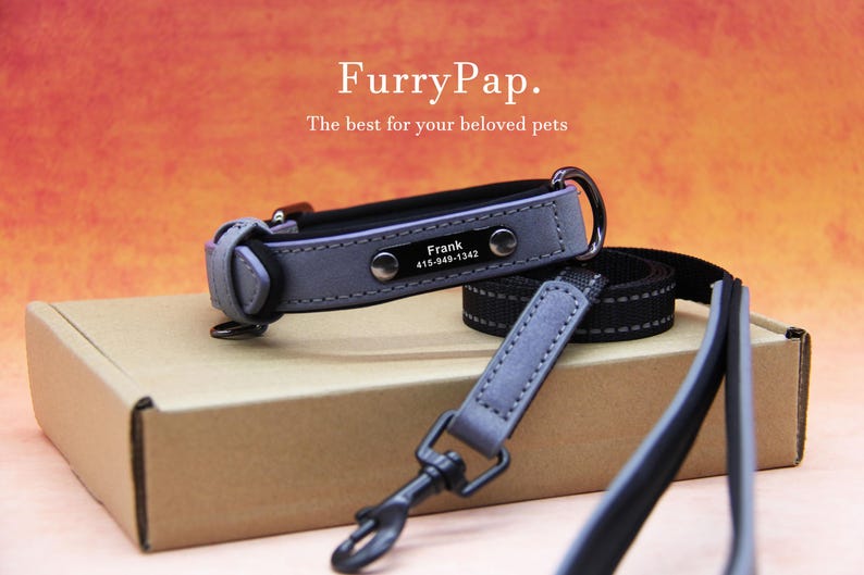 Custom Dog Collar, Reflective Personalized Collar, Custom Engraved Pet ID Tag, Keep Your Pets Safe, Rainbow-Like Colors, Stylish Dog Collar image 14