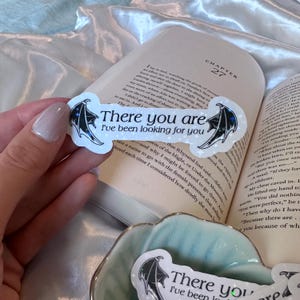 ACOTAR A Court of Thorns and Roses | Rhysand There You Are I’ve Been Looking For You |  Waterproof Shimmer Vinyl Kindle/Water Bottle Sticker