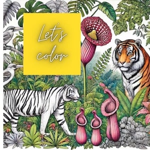 Simple coloring book about Malaysia