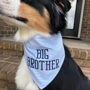 Bandana de Gran Hermano / ¡Perfecta para revelar el género del bebé y anunciar el embarazo! / Bandana personalizada para perros / Bebé niño
