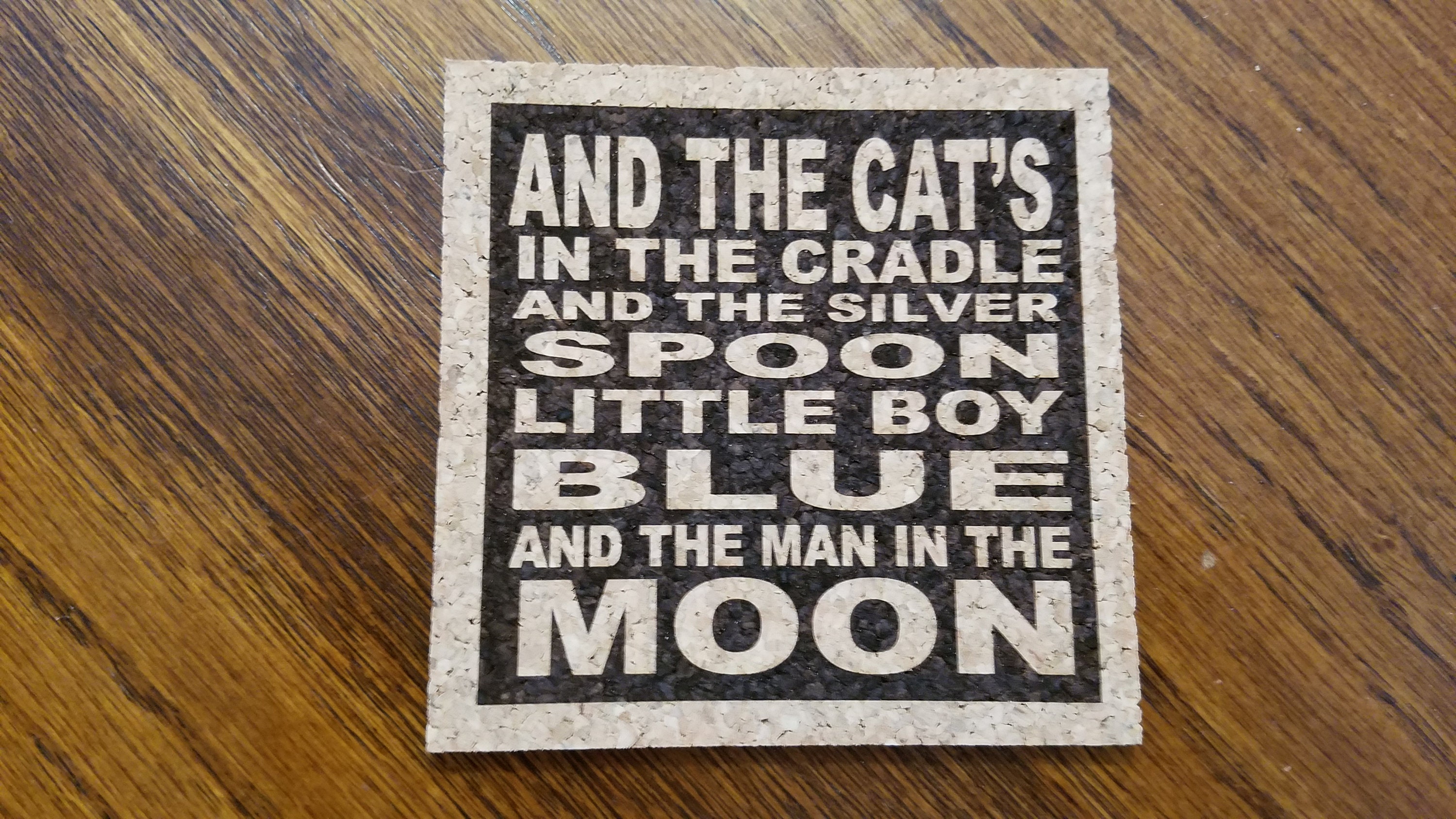 Harry Chapin Song cats in the Cradle |
