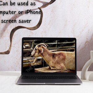 Goat, Country, Farm, Truck, DIGITAL DOWNLOAD, Photography, Animal, Art ...