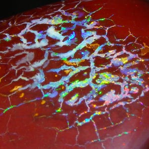 136.60cts Nice Collectors Koroit Boulder Opal Freeform Cab Unusual Patterned Nut Skin (E169)