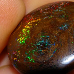 May include: A polished, oval-shaped opal with a dark brown base color. The opal displays vibrant flashes of color, including red, green, and blue, across its surface. The stone is held in a hand, showcasing its size and texture.
