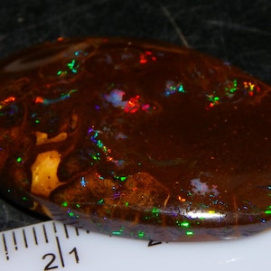 Könnte beinhalten: Ein ovaler, dunkelbrauner Boulder-Opal-Edelstein mit lebhaften grünen, roten und blauen Farbspielen. Der Stein liegt neben einem weißen Lineal, das eine Länge von etwa 5,3 cm anzeigt.