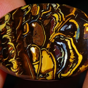 Op de afbeelding: Ovale edelsteen met een donkerbruine basis, met ingewikkelde patronen in geel, goud, wit en vleugjes blauw en rood. Het gepolijste oppervlak toont een uniek, natuurlijk ontwerp. De edelsteen wordt in een hand gehouden.
