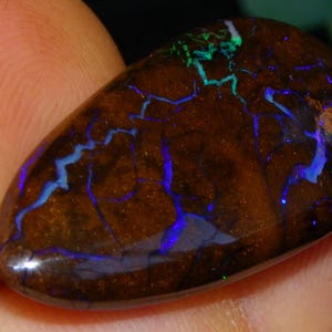 Könnte beinhalten: Ein polierter, tropfenförmiger Opal-Edelstein. Der Stein hat eine dunkelbraune Grundfarbe mit leuchtenden blauen und grünen Adern. Der Opal wird in einer Hand gehalten und zeigt seine natürliche Schönheit und sein einzigartiges Muster.