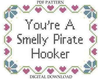 Pattern You’re A Smelly Pirate Hooker Subversive Cross Stitch Instant Digital Download Anchorman Will Ferrell