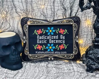 Radicalized By Basic Decency Cross Stitch Framed Embroidery