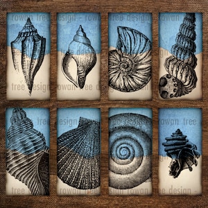 ELLA VENDE CONCHAS Hoja de collage digital 1x2in - no. 0192
